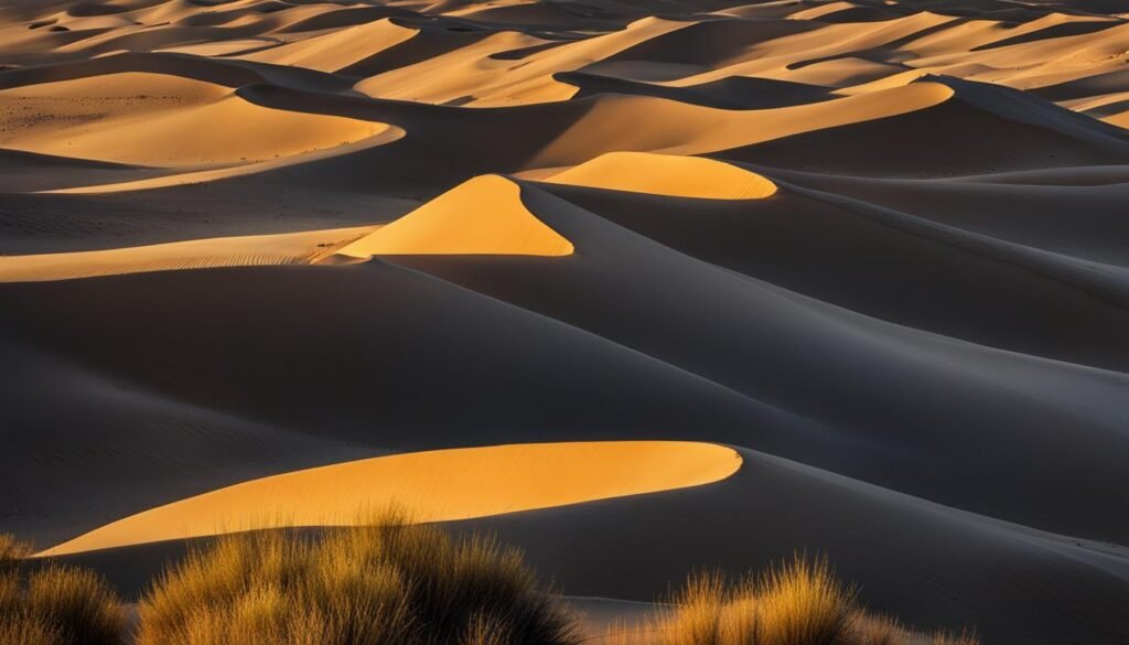 guadalupe dunes