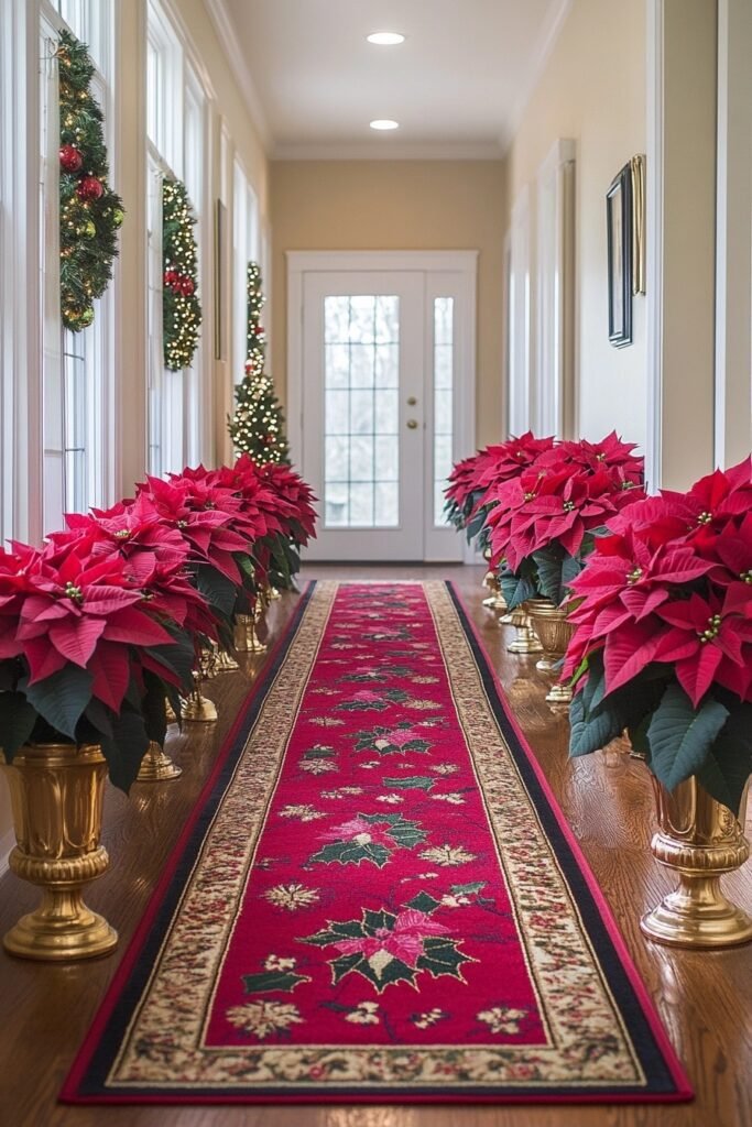 Poinsettia Pathway