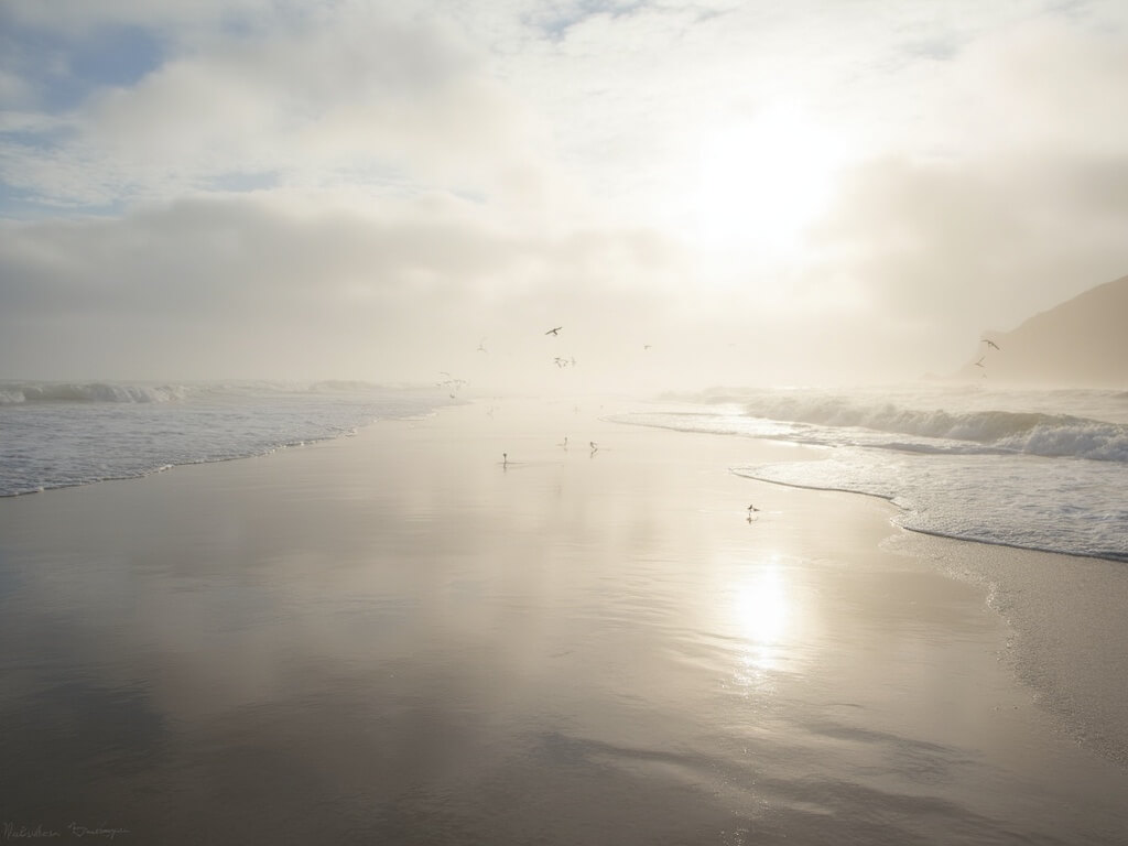 Misty morning at Huntington Beach with shadows on wet sand, gentle waves, flying seabirds, and soft natural light filtering through clouds