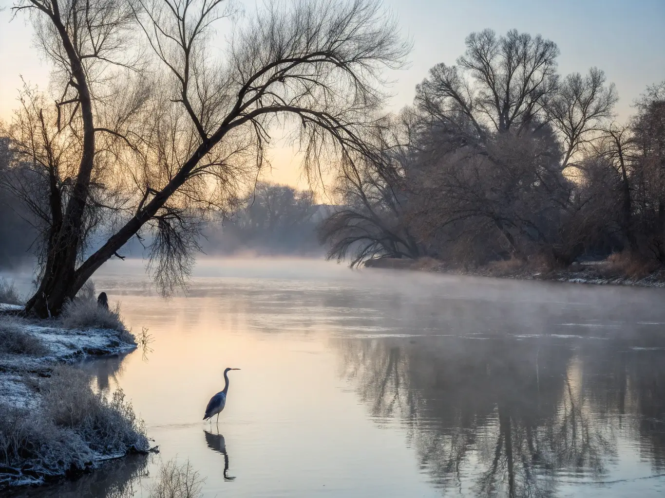 Dawn at the American River with rising mist, bare tree reflections, a great blue heron in the shallows, and soft morning light creating an ethereal winter scene