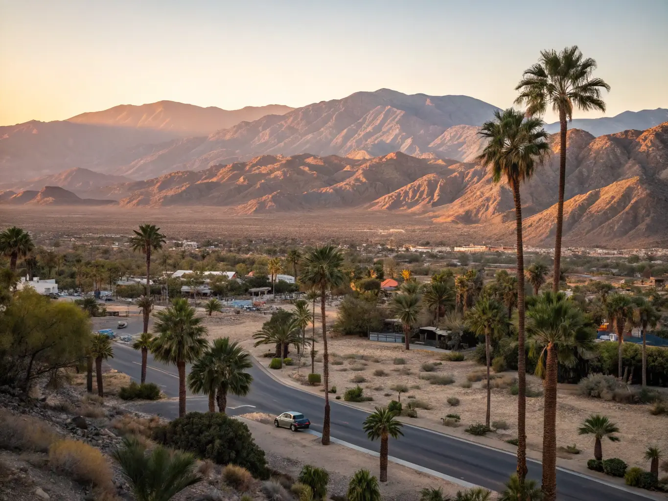 Why Palm Springs in March Will Blow Your Mind: The Ultimate Desert Escape Guide Palm Springs landscape at golden hour with palm trees, mountains, and dramatic shadows
