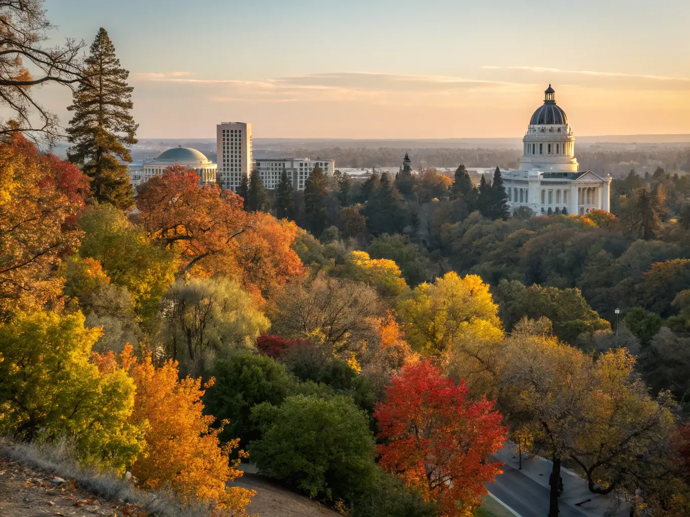 Dramatic autumn transition in Sacramento with golden light filtering through changing leaves