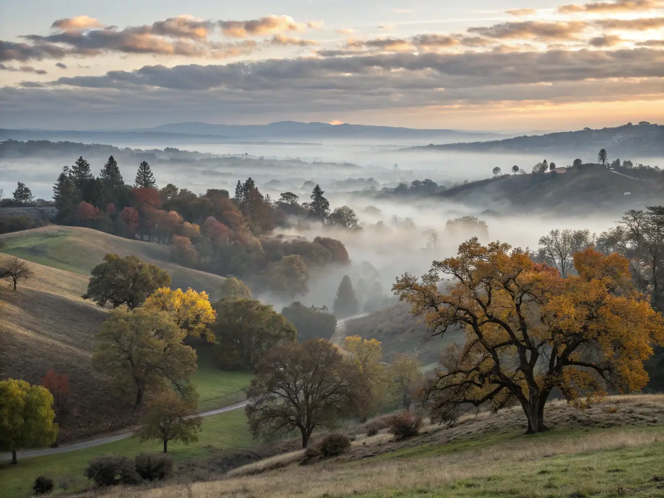 Misty morning landscape in Sacramento during November, highlighting foggy rolling hills, trees with muted autumn colors, and sun rays breaking through the clouds.