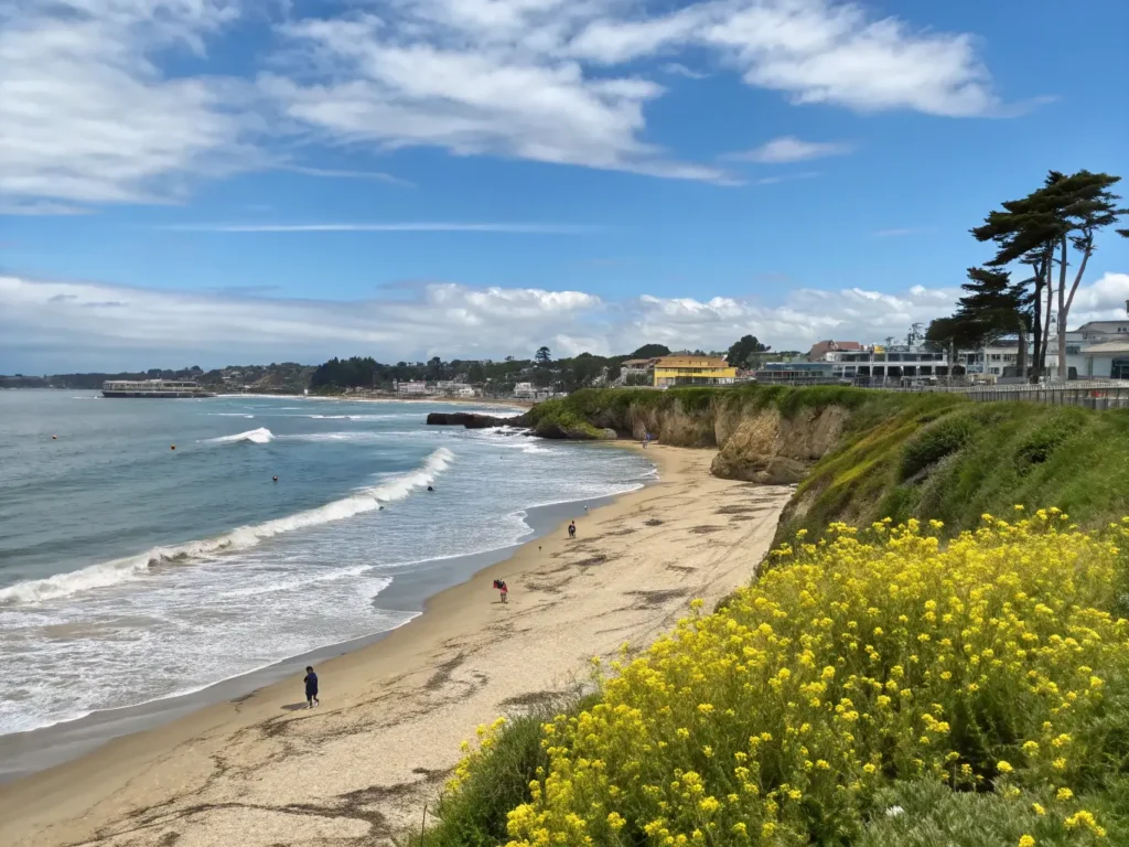 "Panoramic view of Santa Cruz coastline in May featuring sandy beaches, surfers, blooming mustard flowers, and distant view of Beach Boardwalk"