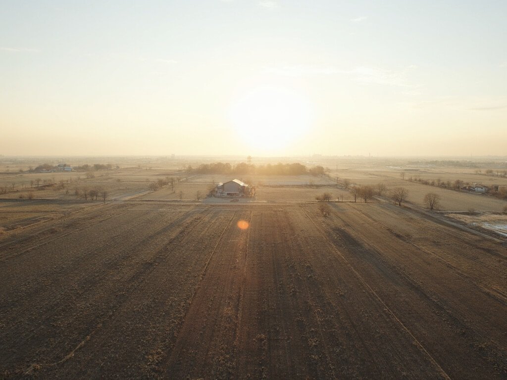 Bakersfield in December: A Hidden Winter Wonderland You Never Knew Existed Winter landscape of Bakersfield's agricultural fields with frost, distant farm buildings and subtle winter light