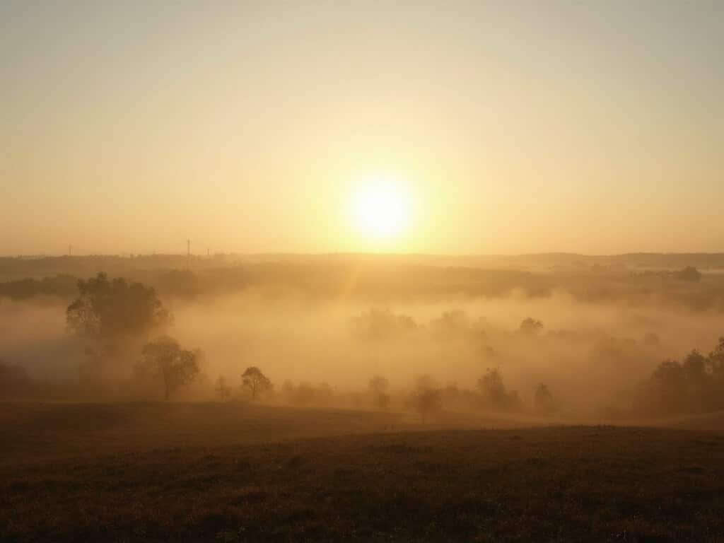 Early winter morning in Fresno's Central Valley with golden sunlight penetrating fog over agricultural fields and silhouetted farm buildings