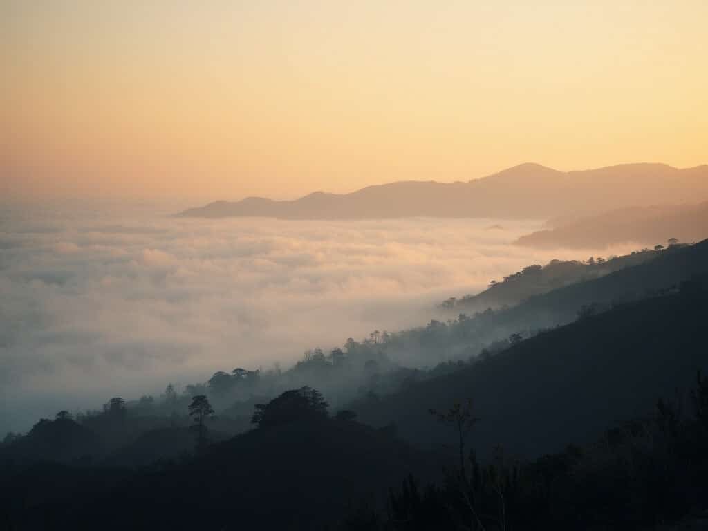 Misty Morning Bay Area Coastline with Emerging Golden Light and Silhouetted Terrain