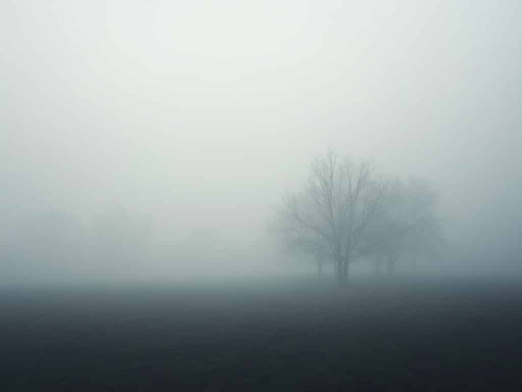 Early morning fog blanketing fields and trees in the San Joaquin River area with faint silhouettes of winter trees emerging