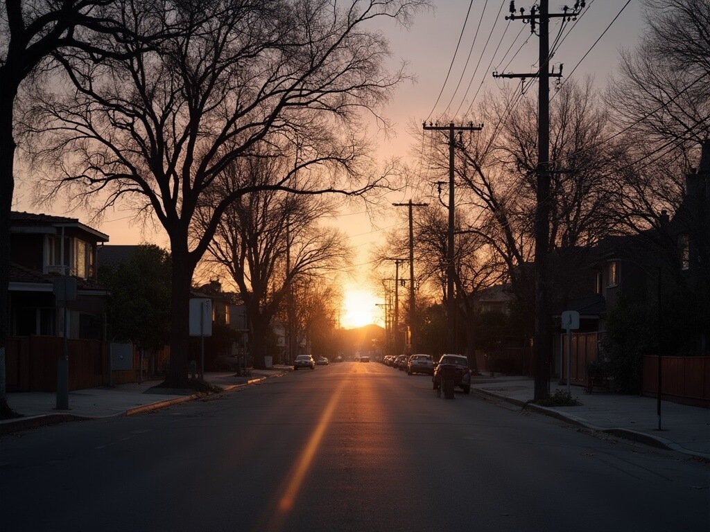 Fresno street at sunset in December with soft light through bare trees and long shadows on a mix of modern and traditional California-style homes
