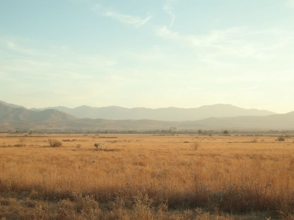 Winter view of Fresno's Central Valley with golden-brown fields, distant mountains, and a pale blue sky