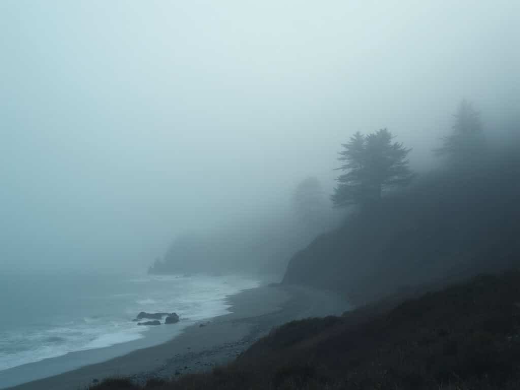 Dawn breaking over Monterey coastline with ghostly cypress tree silhouettes piercing through thick morning marine fog
