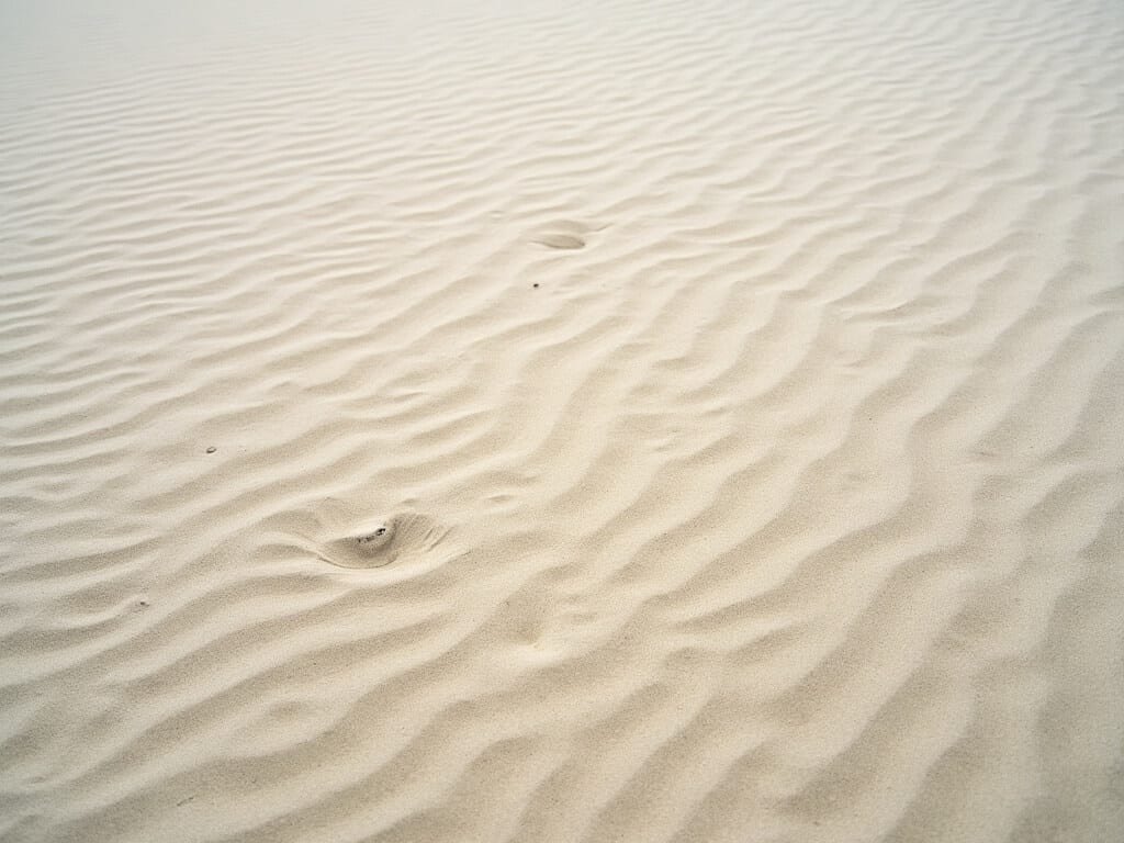 Low angle shot of intricate wind-sculpted sand patterns at Oceano Dunes with minimal human or vehicle interference