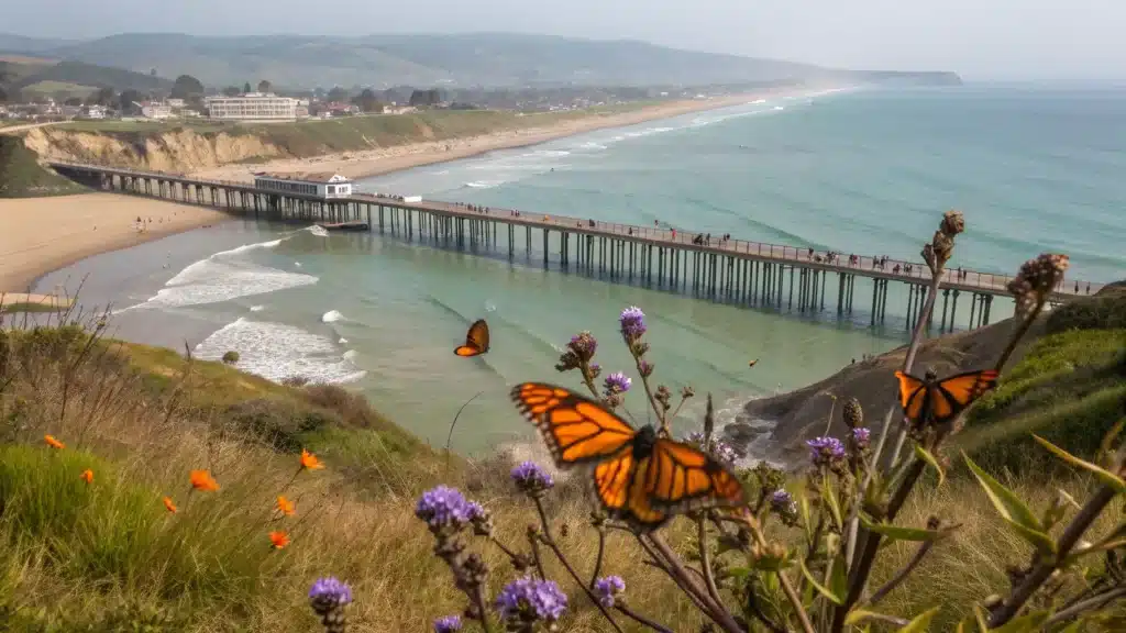 Why Pismo Beach in April Might Be Your Best California Coast Decision This Year "Pismo Beach's wooden pier stretching into Pacific waters with monarch butterflies, blooming California poppies and purple lupines in the foreground, morning fog uncovering sandy beach, sea lions on distant rocks and hikers exploring the shoreline during a spring April morning."