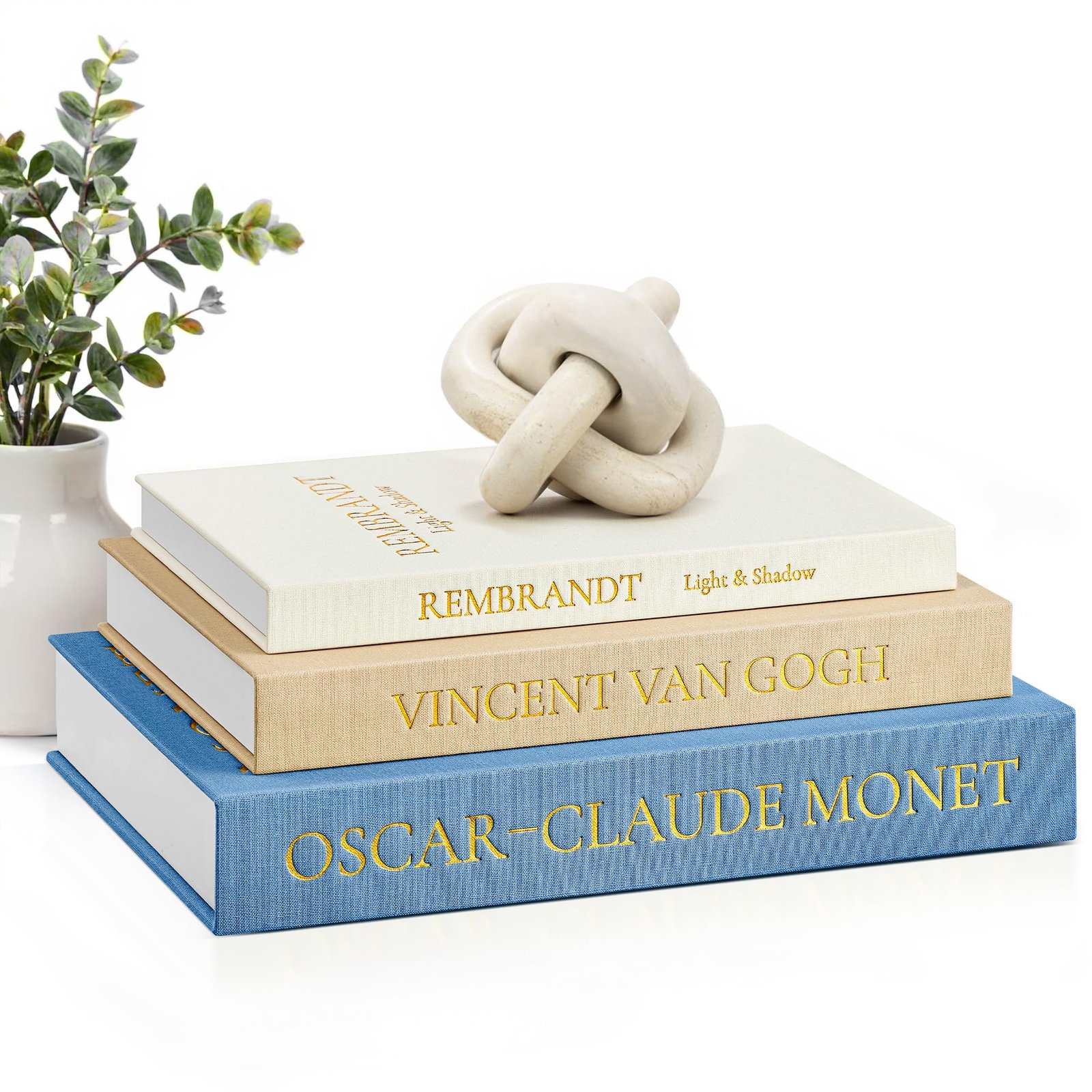 14 Coastal Bookshelf Decor Ideas for Shelves That Tell a Story coastal bookshelf decor