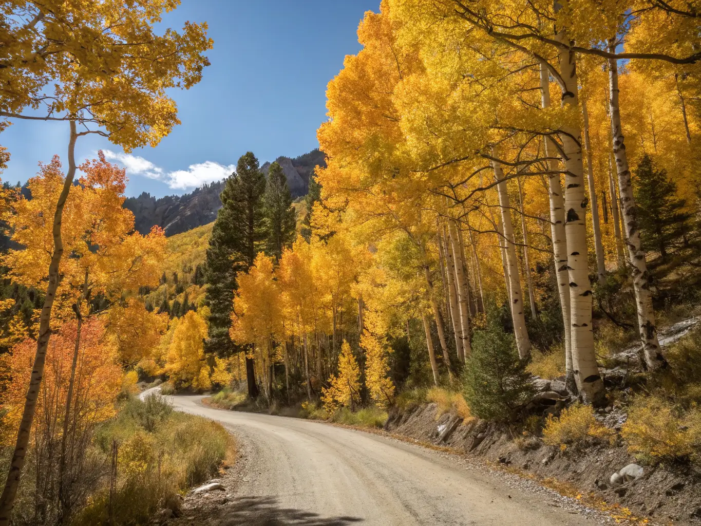October Might Be the Best Month to Visit Mammoth Lakes Telephoto view of Rock Creek Road near Mammoth Lakes lined with glowing yellow and orange aspens, a curving dirt road under dappled sunlight, and glimpses of deep blue sky between golden leaves.